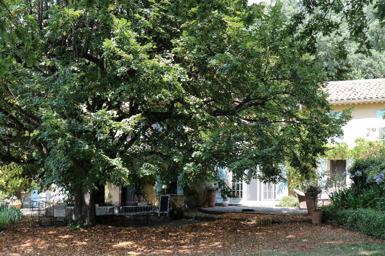 Domaine Des Tilleuls D'Or Saint-Cézaire-sur-Siagne Exteriér fotografie