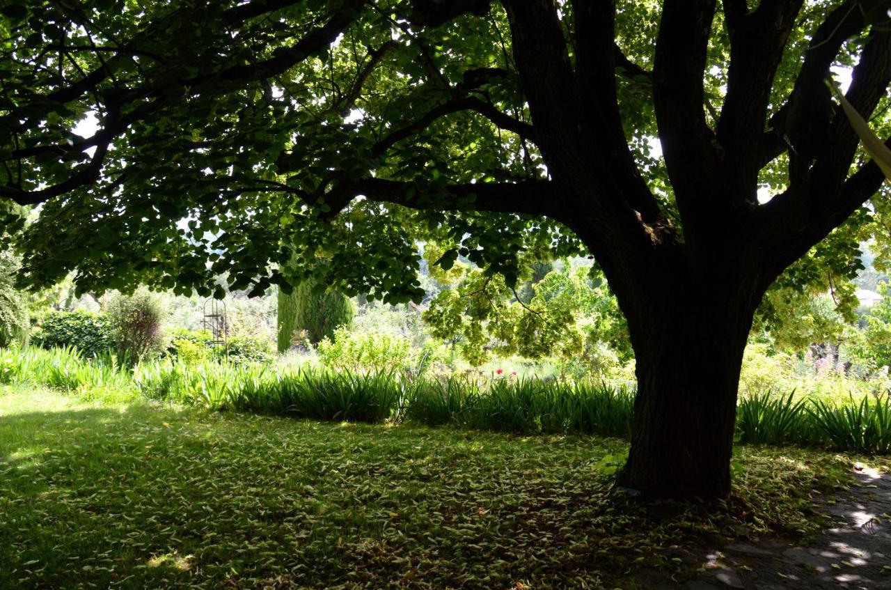 Domaine Des Tilleuls D'Or Saint-Cézaire-sur-Siagne Exteriér fotografie