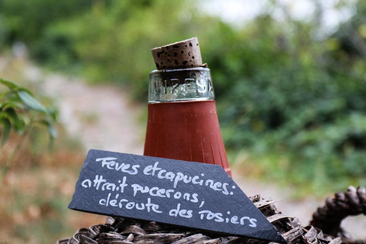 Domaine Des Tilleuls D'Or Saint-Cézaire-sur-Siagne Exteriér fotografie