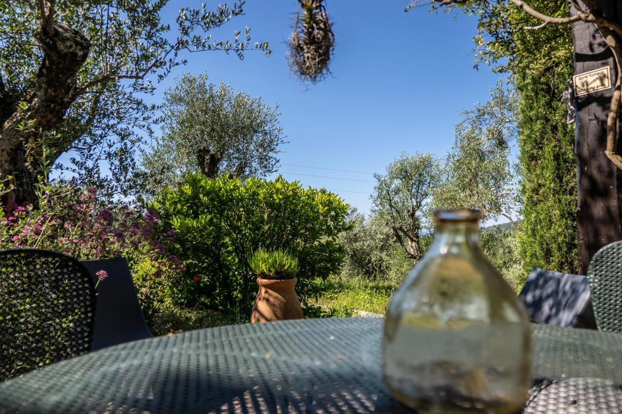 Domaine Des Tilleuls D'Or Saint-Cézaire-sur-Siagne Pokoj fotografie